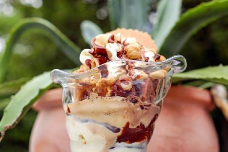 Η συνταγή της ημέρας: Παγωτό φουντούκι (nocciola gelato) | Pagenews.gr Η συνταγή της ημέρας: Παγωτό φουντούκι (nocciola gelato) | Pagenews.gr
