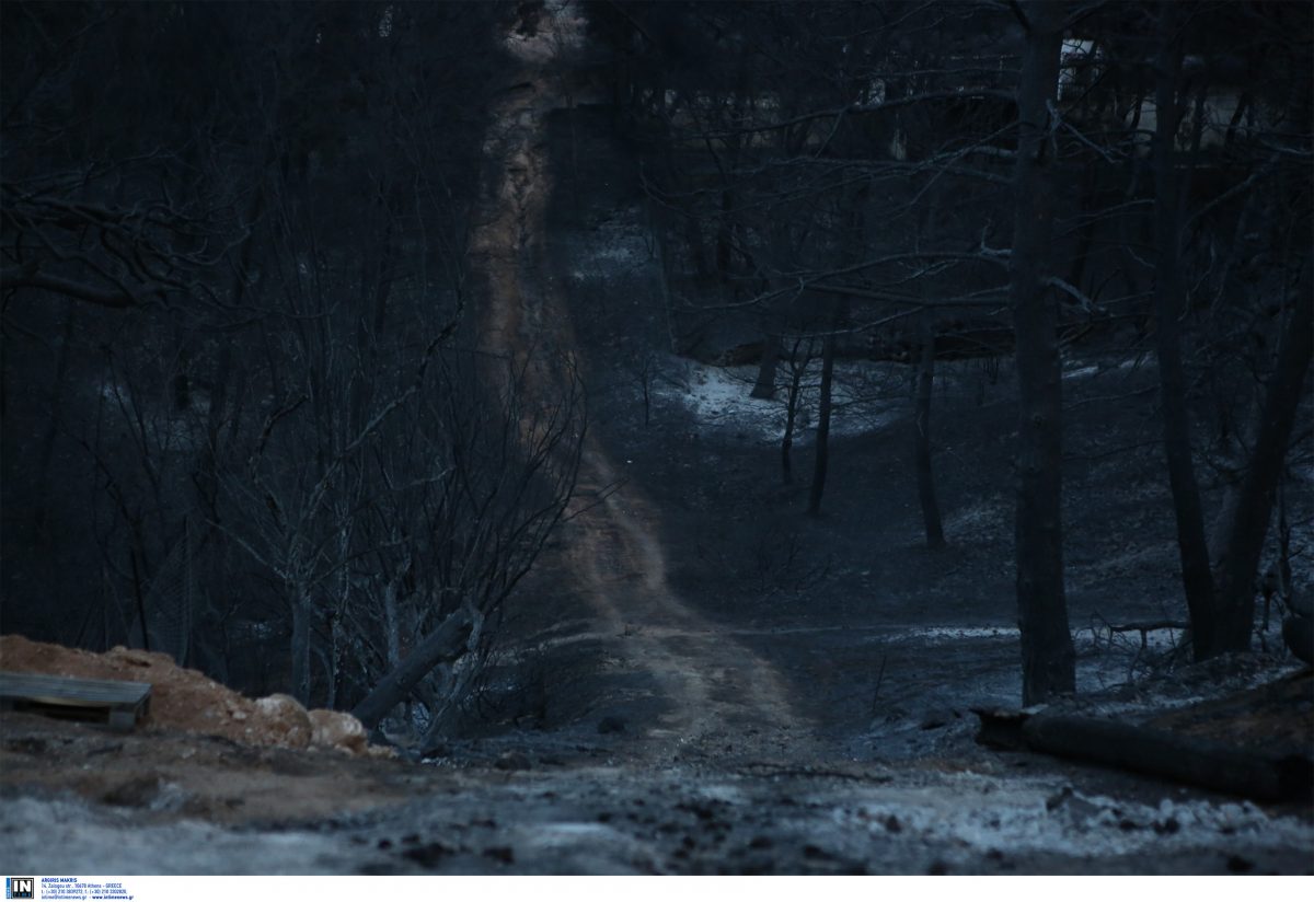 Ο Αριστοτέλης, η ευδαιμονία και η αηδία των κομμάτων