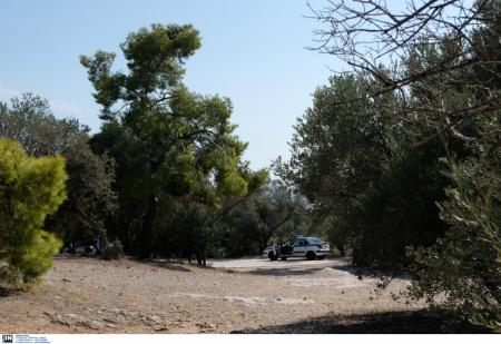 ΕΓΚΛΗΜΑ ΣΤΟΥ ΦΙΛΟΠΑΠΠΟΥ : Αυτοί είναι οι συλληφθέντες (pic) | Pagenews.gr ΕΓΚΛΗΜΑ ΣΤΟΥ ΦΙΛΟΠΑΠΠΟΥ : Αυτοί είναι οι συλληφθέντες (pic) | Pagenews.gr
