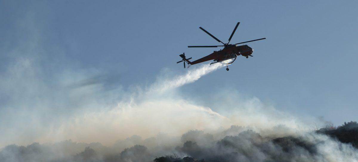 ΦΩΤΙΑ ΤΩΡΑ: Πυρκαγιά σε δασική έκταση στην Αλεξανδρούπολη | Pagenews.gr ΦΩΤΙΑ ΤΩΡΑ: Πυρκαγιά σε δασική έκταση στην Αλεξανδρούπολη | Pagenews.gr