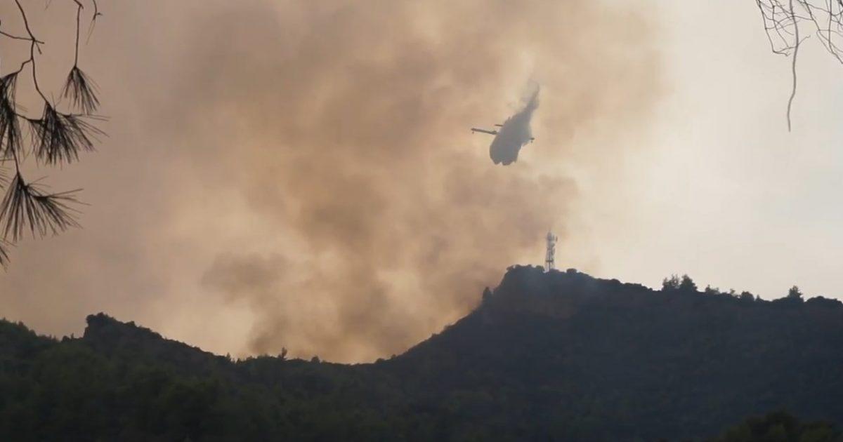 ΦΩΤΙΑ ΤΩΡΑ: Μάχη με τις φλόγες σε δύο μέτωπα στην Ηλεία (vid) | Pagenews.gr ΦΩΤΙΑ ΤΩΡΑ: Μάχη με τις φλόγες σε δύο μέτωπα στην Ηλεία (vid) | Pagenews.gr