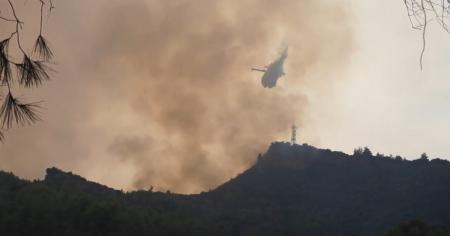 ΦΩΤΙΑ ΤΩΡΑ: Μάχη με τις φλόγες σε δύο μέτωπα στην Ηλεία (vid) | Pagenews.gr ΦΩΤΙΑ ΤΩΡΑ: Μάχη με τις φλόγες σε δύο μέτωπα στην Ηλεία (vid) | Pagenews.gr