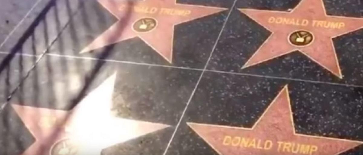«Πολλαπλασιάστηκε» το αστέρι του Τραμπ στο Walk of Fame | Pagenews.gr «Πολλαπλασιάστηκε» το αστέρι του Τραμπ στο Walk of Fame | Pagenews.gr