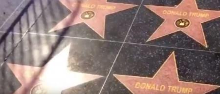 «Πολλαπλασιάστηκε» το αστέρι του Τραμπ στο Walk of Fame | Pagenews.gr «Πολλαπλασιάστηκε» το αστέρι του Τραμπ στο Walk of Fame | Pagenews.gr