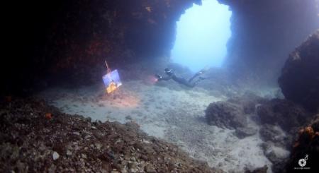 The Underwater Gallery: Η πρώτη στον κόσμο υποθαλάσσια έκθεση φωτογραφίας «με μια ανάσα» (vids) | Pagenews.gr The Underwater Gallery: Η πρώτη στον κόσμο υποθαλάσσια έκθεση φωτογραφίας «με μια ανάσα» (vids) | Pagenews.gr