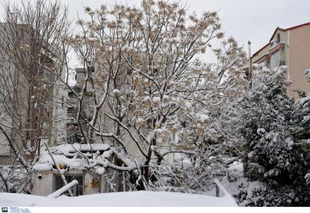 Καιρός (14/1/19): Η πρόγνωση για την Δευτέρα 14 Ιανουαρίου 2019 | Pagenews.gr Καιρός (14/1/19): Η πρόγνωση για την Δευτέρα 14 Ιανουαρίου 2019 | Pagenews.gr