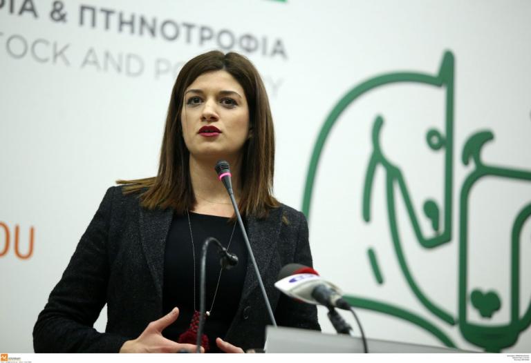 Νοτοπούλου για εκλογές 2019: «Το δικαίωμα της ψήφου είναι ιερό και υποχρέωση»