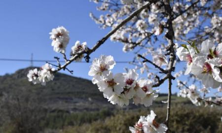 Εαρινή ισημερία: Ποιο σπάνιο φαινόμενο συμβαίνει σήμερα | Pagenews.gr Εαρινή ισημερία: Ποιο σπάνιο φαινόμενο συμβαίνει σήμερα | Pagenews.gr