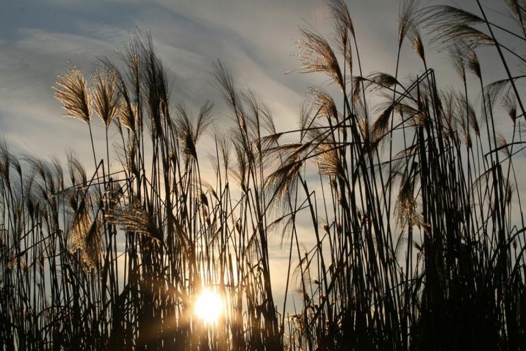 Καιρός αύριο: Η πρόγνωση για την Παρασκευή 7 Ιουνίου 2019