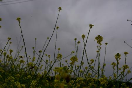 Καιρός: H πρόγνωση για τη Μεγάλη Παρασκευή, 26 Απριλίου 2019 | Pagenews.gr Καιρός: H πρόγνωση για τη Μεγάλη Παρασκευή, 26 Απριλίου 2019 | Pagenews.gr