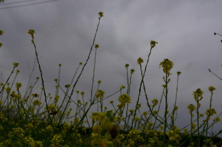 Καιρός: H πρόγνωση για τη Μεγάλη Παρασκευή, 26 Απριλίου 2019