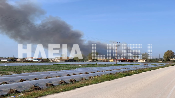 Φωτιά στην Ηλεία: Ανεξέλεγκτη μαίνεται η πυρκαγιά στη ...