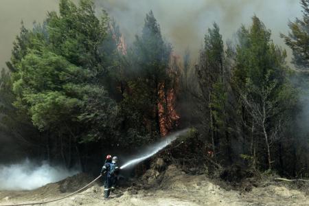 Φωτιά τώρα: Μεγάλες πυρκαγιές σε Αγίους Θεοδώρους και Εύβοια (vid) | Pagenews.gr Φωτιά τώρα: Μεγάλες πυρκαγιές σε Αγίους Θεοδώρους και Εύβοια (vid) | Pagenews.gr