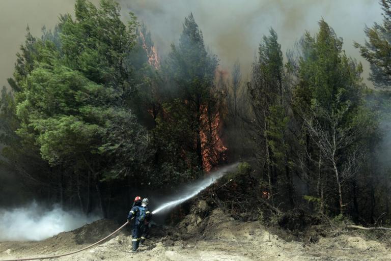 Φωτιά τώρα: Μεγάλες πυρκαγιές σε Αγίους Θεοδώρους και Εύβοια (vid)