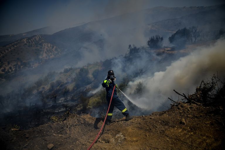 Φωτιά τώρα: Πυρκαγιά στην Εύβοια – Μεγάλη κινητοποίηση της Πυροσβεστικής