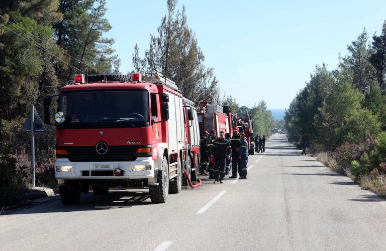 Φωτιά τώρα: Πυρκαγιά σε δασική έκταση στη Λευκάδα