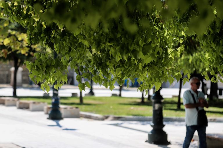 Καιρός σήμερα: Καλοκαιρινές συνθήκες και την Πέμπτη – Μικρή άνοδος της θερμοκρασίας
