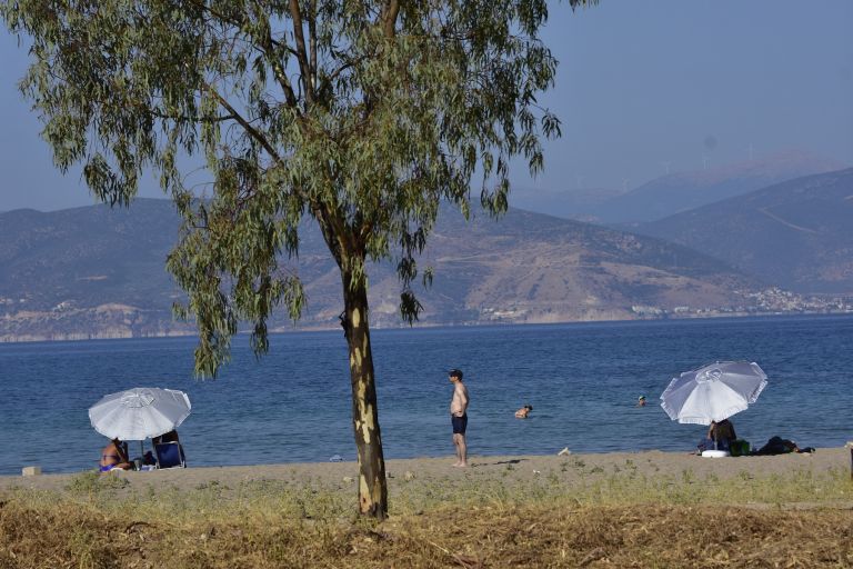 Καιρός: Η πρόγνωση του καιρού για την Παρασκευή (23/8/19)