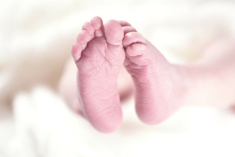 Γλυκά Νερά: Νεκρό βρέφος τριών μηνών από επίθεση ροτβάιλερ