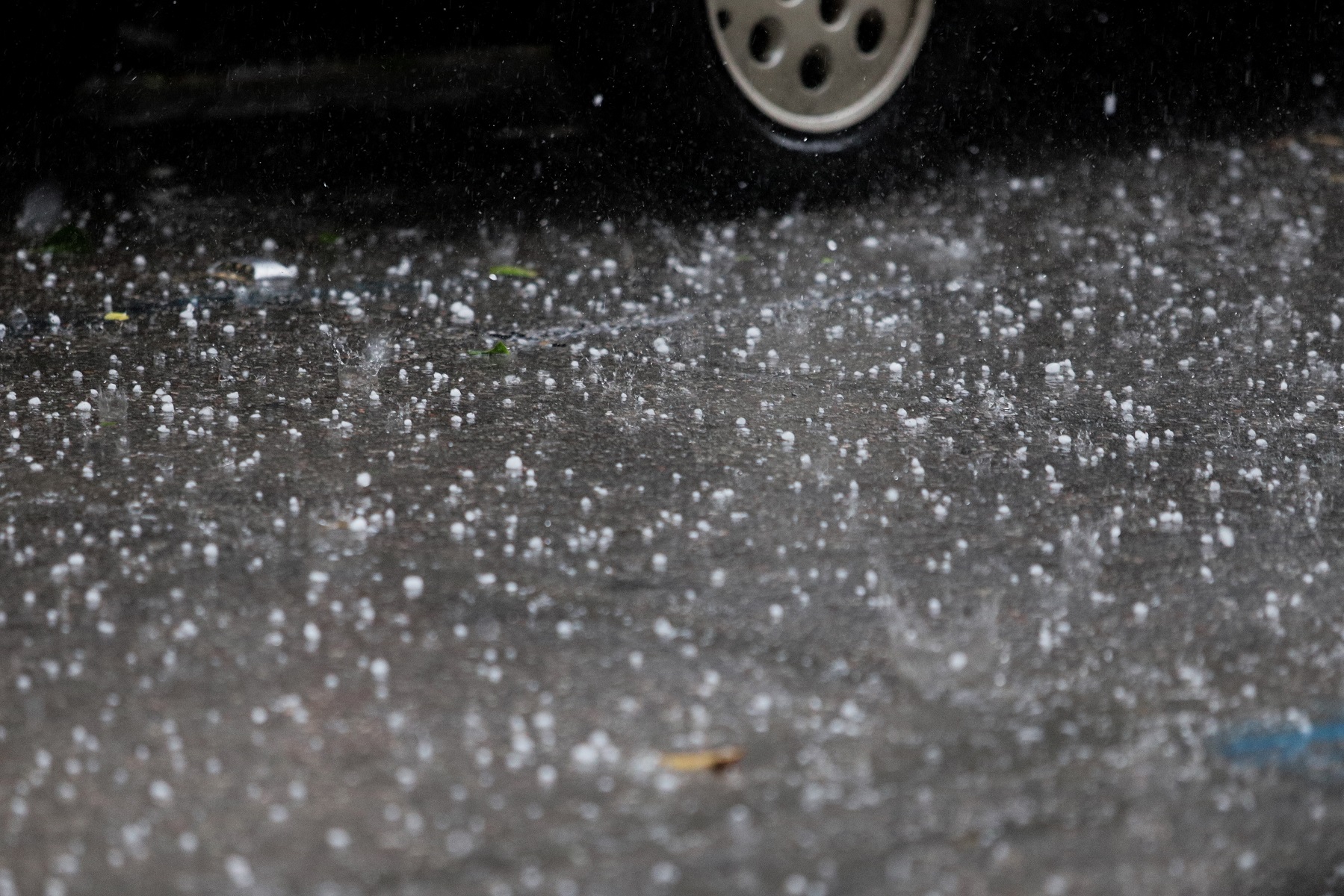 Αμείλικτη φύση