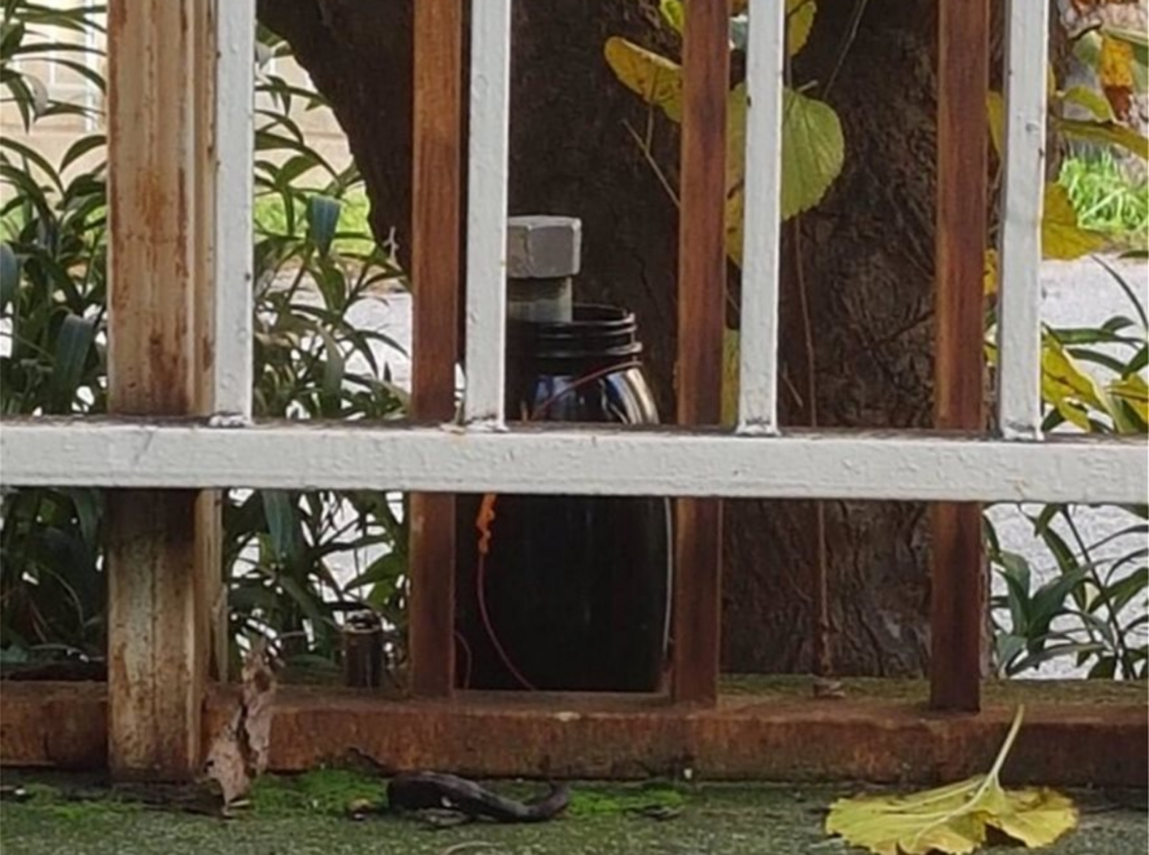 Αριστερές βόμβες και παράπλευρες απώλειες