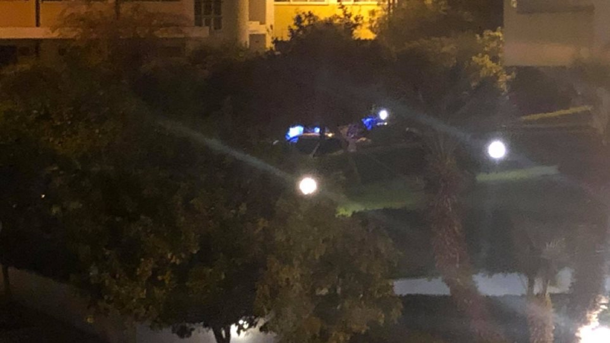 Πολύ ξύλο στο Παλιό Φάληρο στη μέση του δρόμου