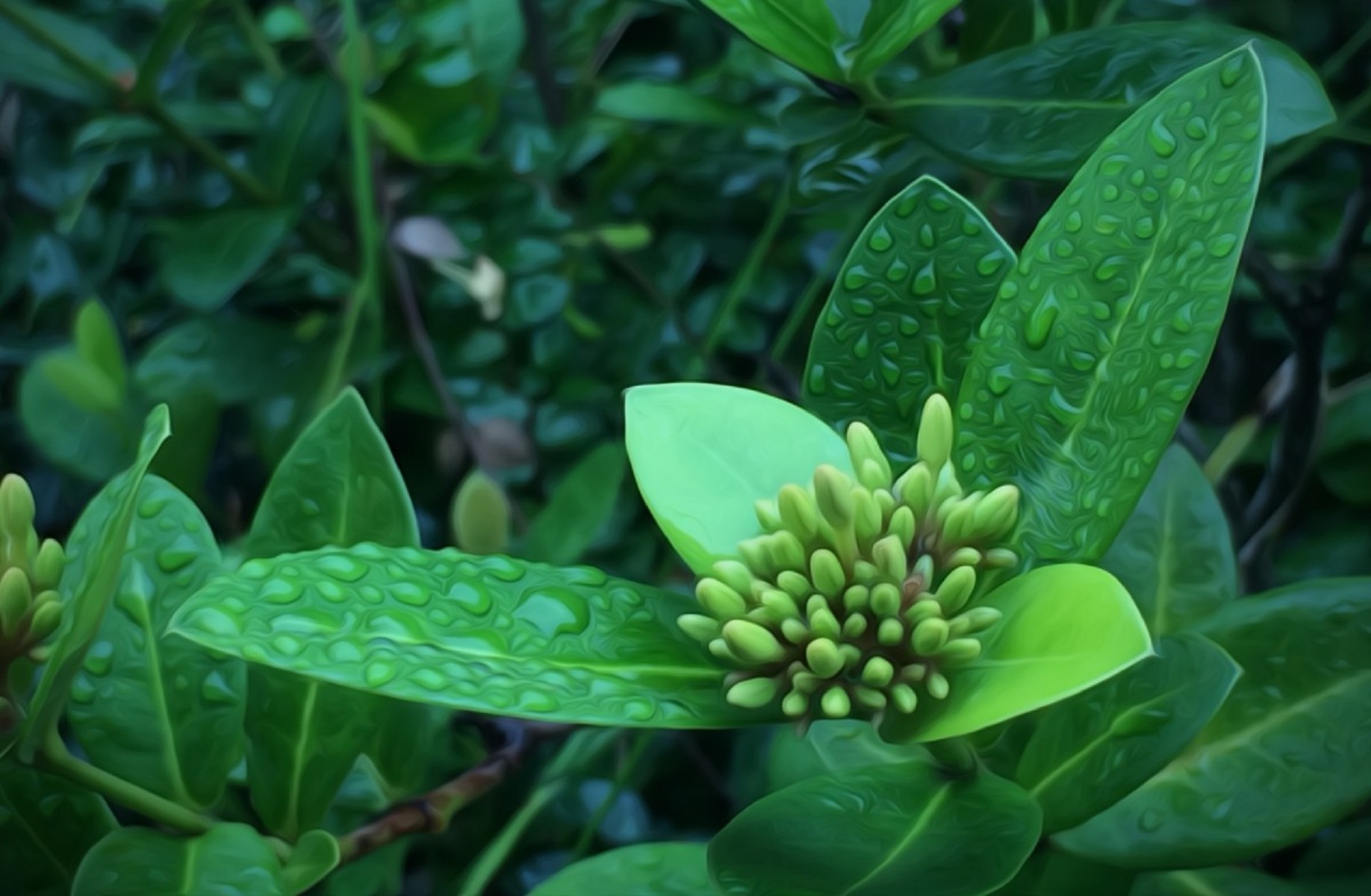 Ανοιξιάτικες σκέψεις, διαχρονικοί προβληματισμοί