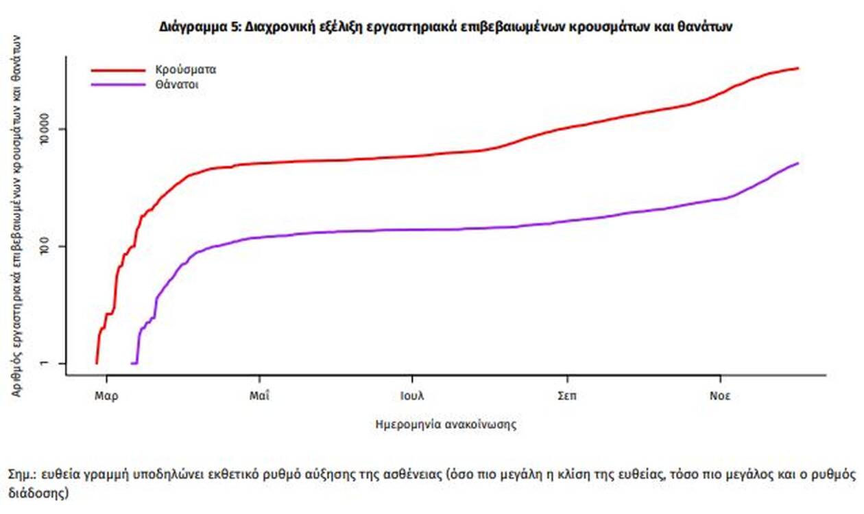 svg%3E
