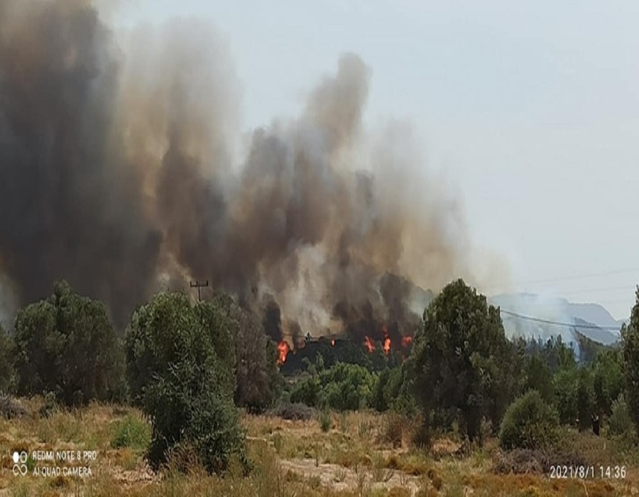 Φωτιά στη Ρόδο