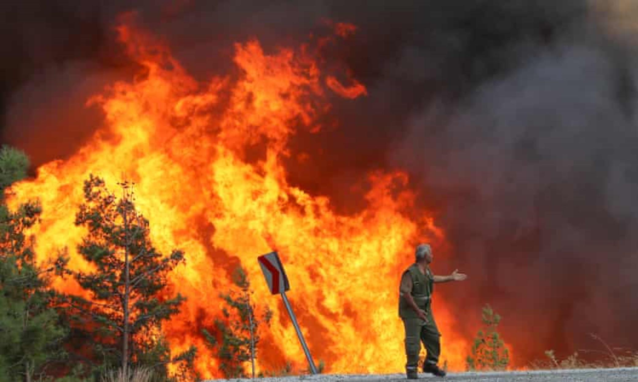 Italia: Cinque morti per incendi e temperature spaventose di 48,8 gradi