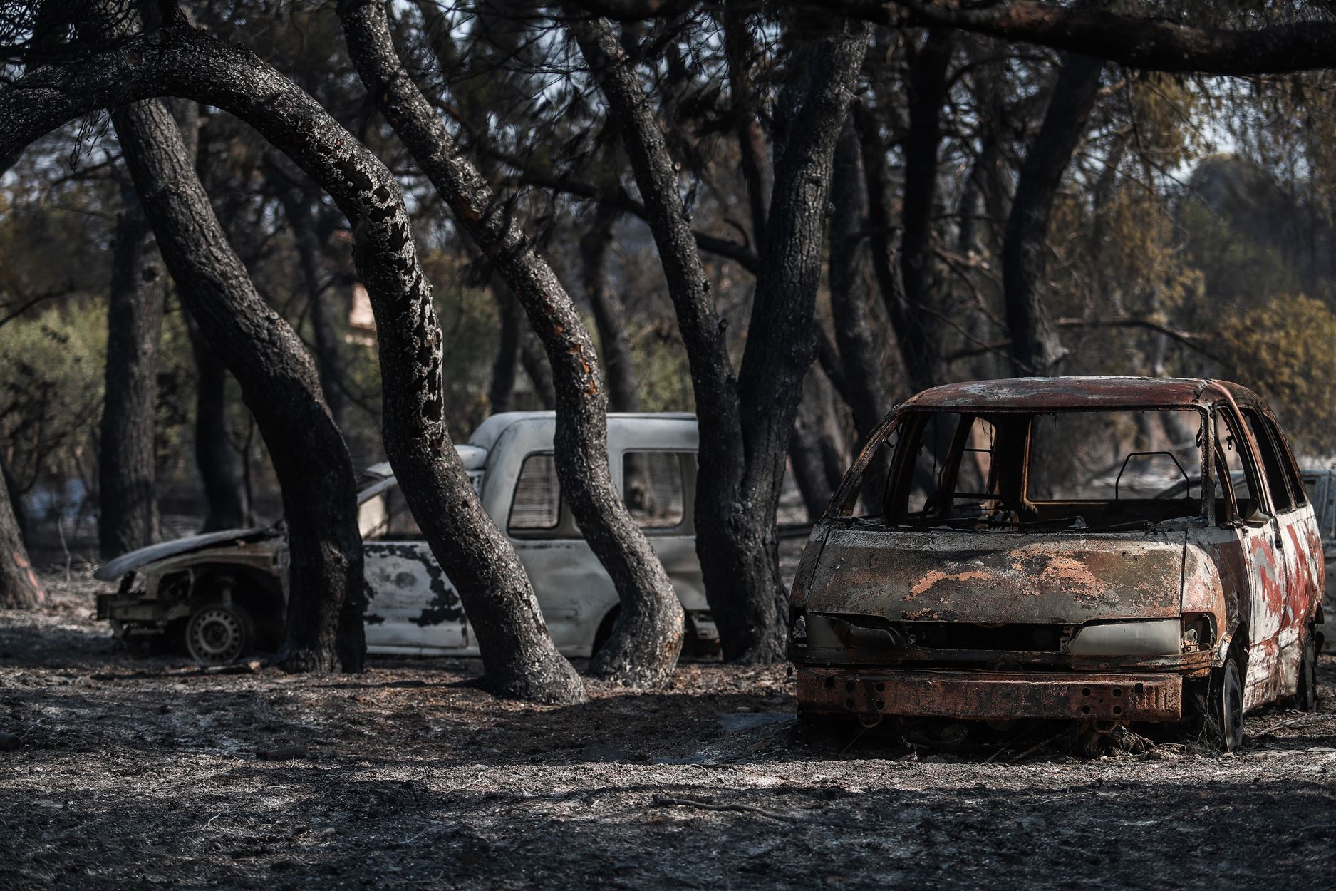 Η επόμενη μέρα από τη φωτιά στη Βαρυμπόμπη