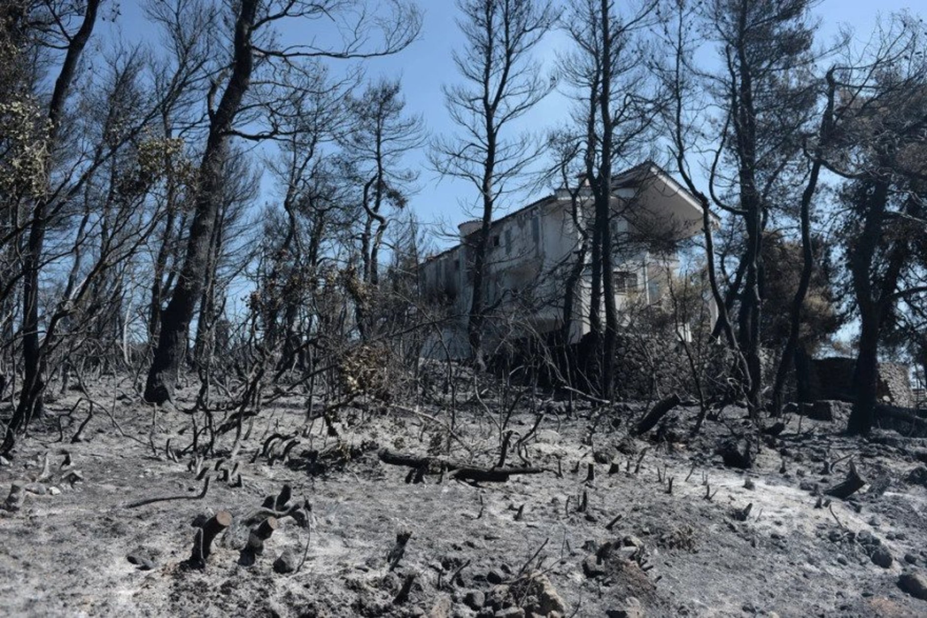 «Κλιματική αλλαγή», εμπρησμοί και μεταναστευτικό: Ένα κουίζ και ένα ερώτημα