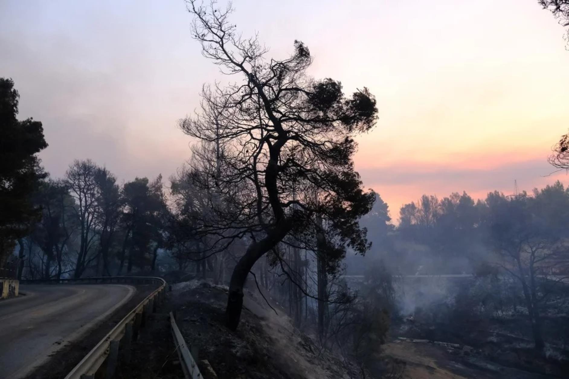 Η επόμενη μέρα από τη φωτιά στη Βαρυμπόμπη