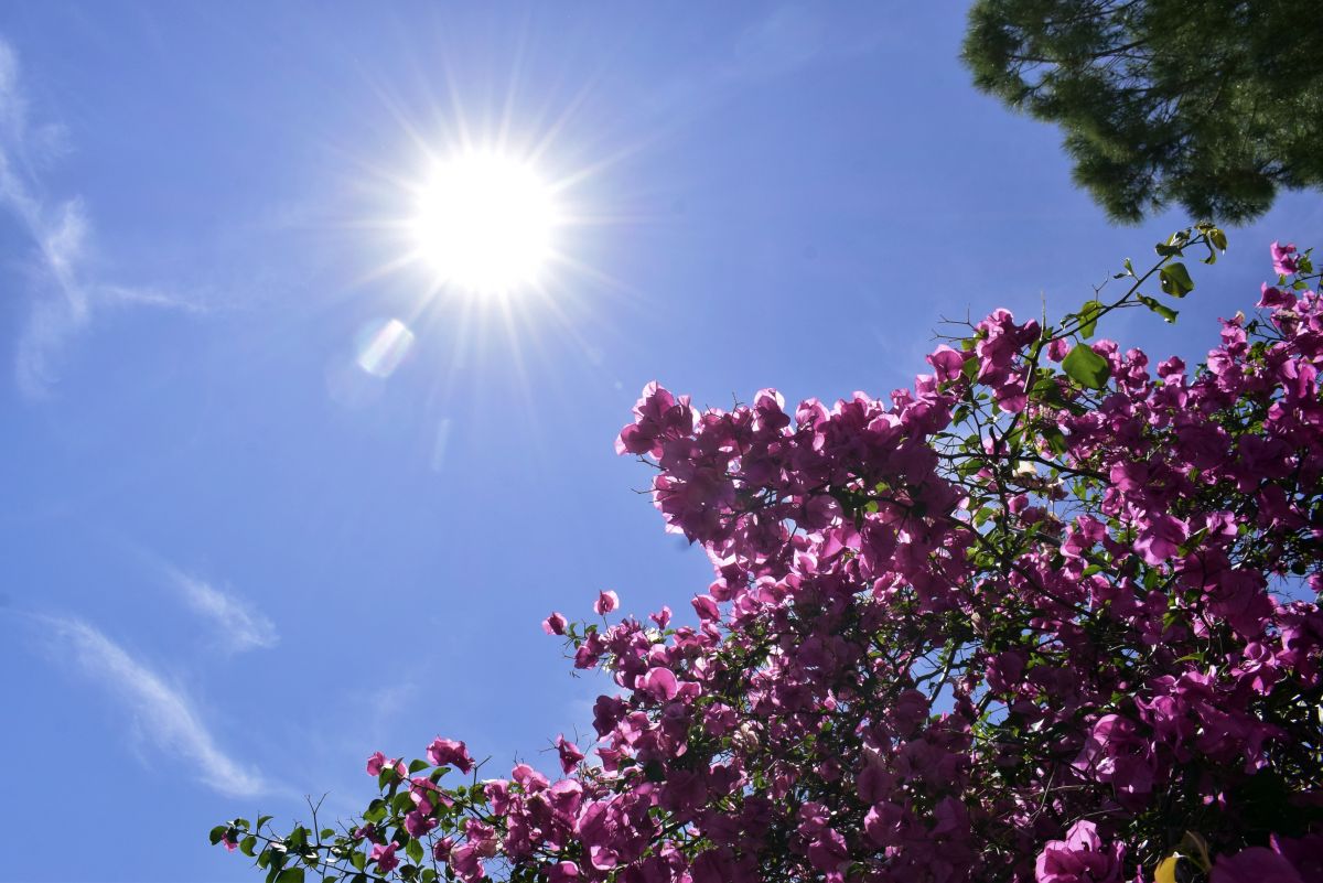 Καιρός αύριο Πέμπτη 4/8