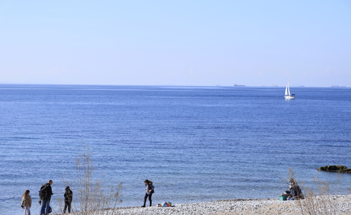 paralia
