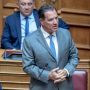 adonis vouli