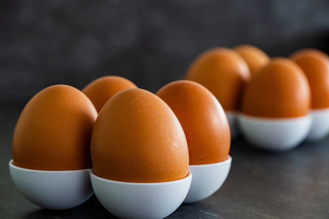 egg-4903676_1280