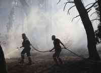 Φωτιά τώρα στην Επίδαυρο: Καίει ξερά χόρτα κοντά στο Αδάμι – Ισχυρές πυροσβεστικές δυνάμεις στο σημείο