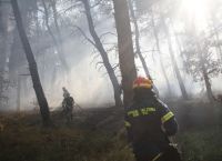 Συναγερμός για πυρκαγιές: Πολύ υψηλός κίνδυνος στην Αττική και σε 5 ακόμη περιφέρειες