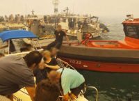 Βοιωτία: «Θα γίνουμε νέο Μάτι» – Κραυγή απόγνωσης από κάτοικο στον Άγιο Βασίλειο [vid]