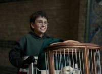 Το νέο Harry Potter της HBO σπάει κάθε ρεκόρ πριν καν κάνει πρεμιέρα