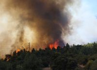 Βίλια: Έσωζε ξένα σπίτια ενώ το δικό του γινόταν στάχτη