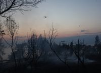 Φωτιά στη Χαλκιδική: Ο καπνός έφτασε μέχρι τη Λάρισα – Τι αποκαλύπτουν οι δορυφορικές εικόνες