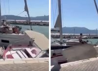 Λευκάδα: Ιστιοφόρο “καρφώθηκε” σε σκάφη που ήταν δεμένα στο λιμάνι Καλάμου-Συνελήφθη ο καπετάνιος [vid]